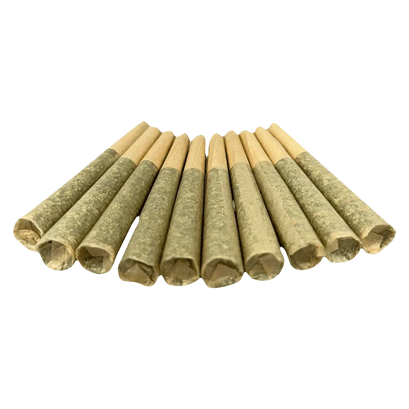 Ten cannabis pre-rolled joints arranged in a symmetrical fan shape.