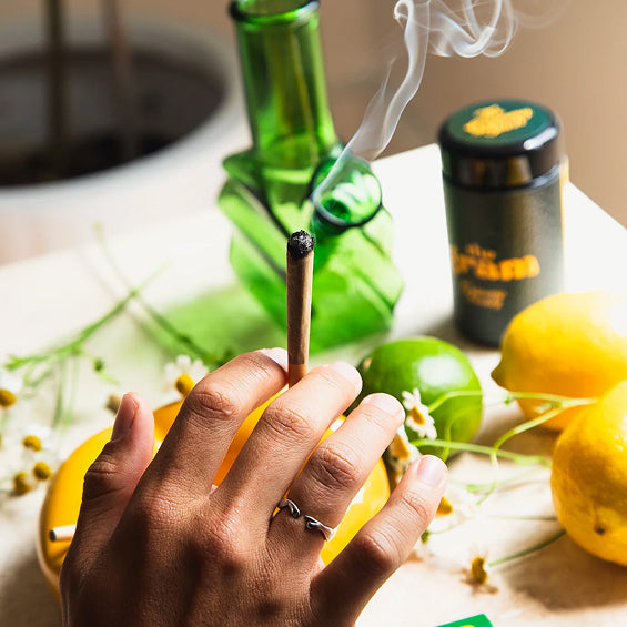 A hand holding a lit pre-roll with rising smoke, set against a table featuring fresh lemons, limes, chamomile flowers, a green glass piece, and a black canister with 